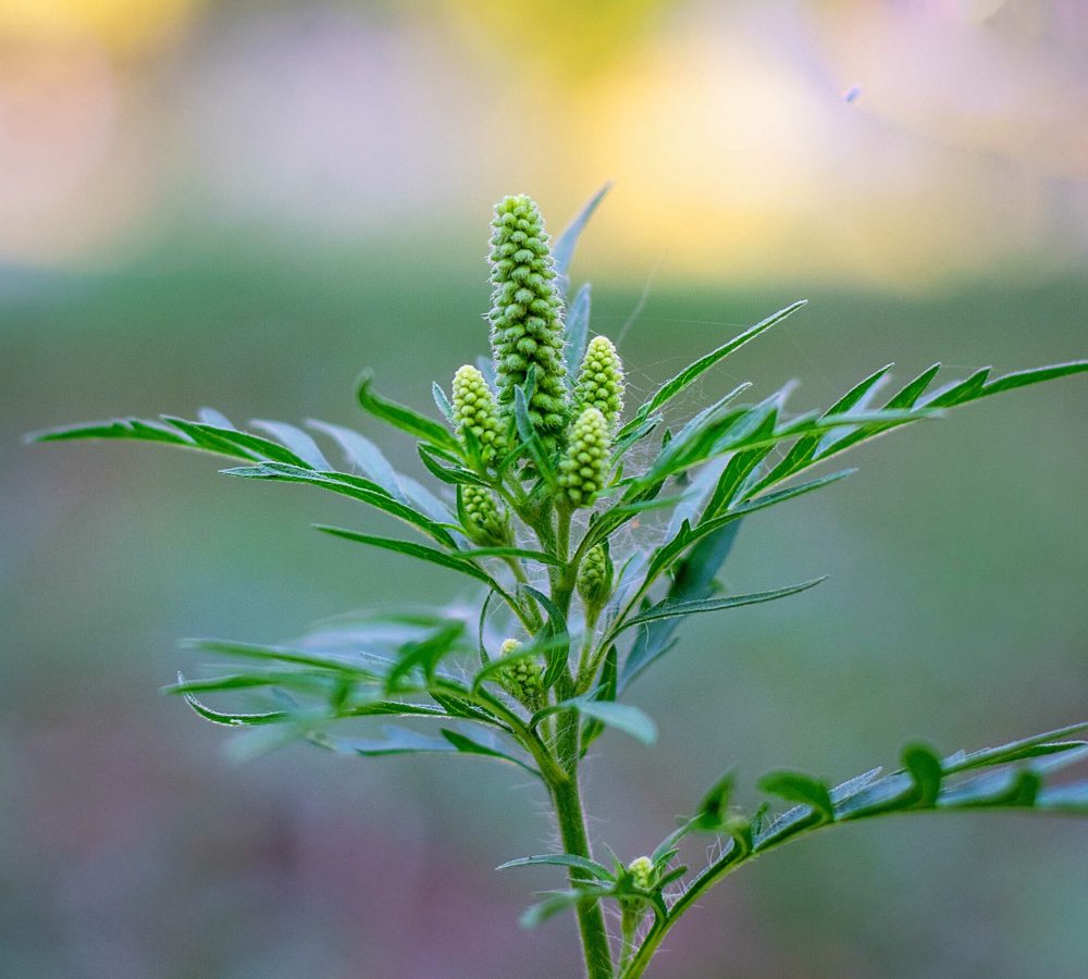 adobestock_369944644_optimized adobestock_369944644_optimized